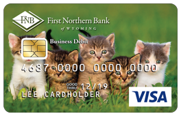 Four Kittens in Grass Debit Card Design